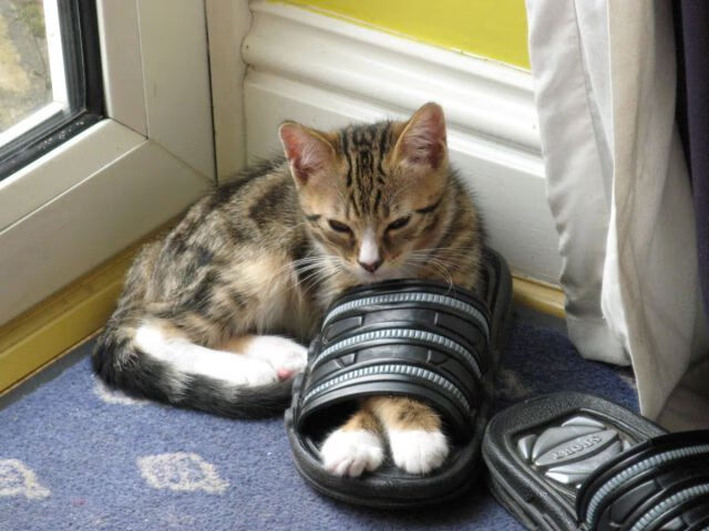 欧冠淘汰赛之夜，莱奥存在感拉满