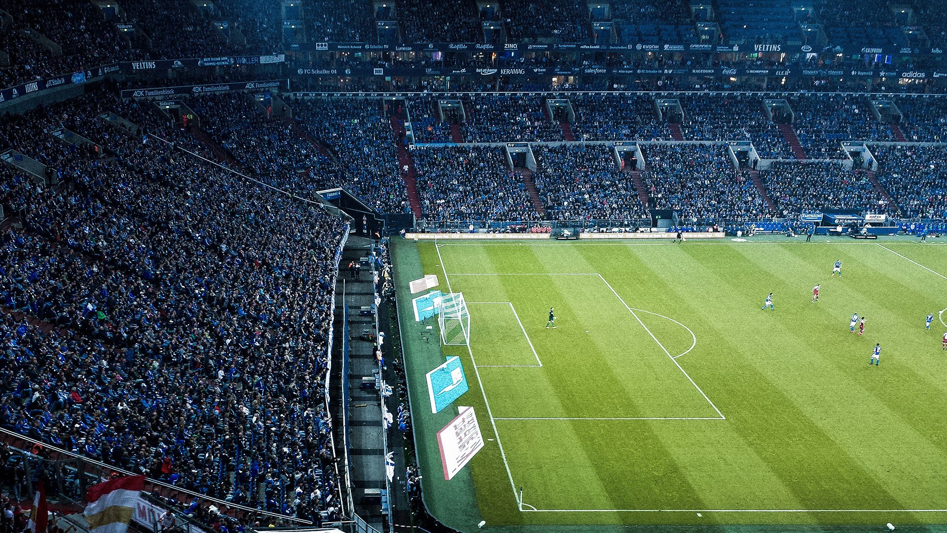 2026世界杯之夜，福克斯成为全场焦点